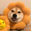 把孩子废了