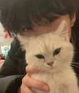 所愛隔山海.