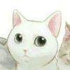 建立菌