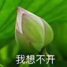墨墨子
