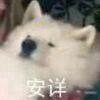 乘风而去