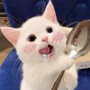 简