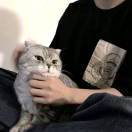 天