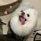 阳阳阳阳阳