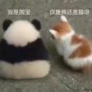 减不下来肥的胖子，