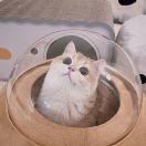 Yvette丶🐱