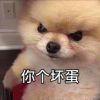峡谷摸鱼真君