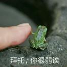 周sir