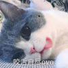 卡牌大师℃