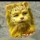 黄俊豪