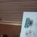 隐