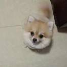 均均