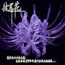 蔚蓝