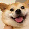 小俞