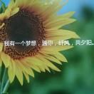 水儿