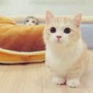 长相守候