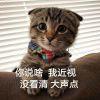 猛兽QAQ