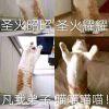 杜梓腾