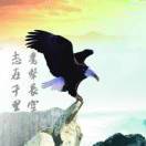 爱随缘情随份