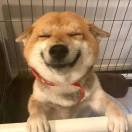刘佳炜