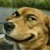 ikun