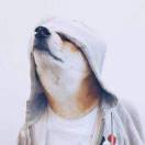明月清风