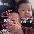 韶黑