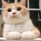 白落