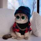 晚安💤玛卡.巴卡~