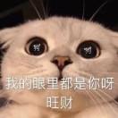 我很特