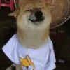 吊儿郎当逸先生