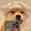 冬日暖阳、