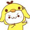 ✧*｡٩(^㉨^*)و✧*｡