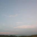 随心所欲