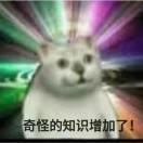 真