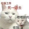 夜