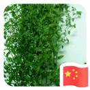 25邱玉轩