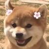 wen