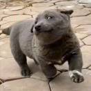 王洪斌(Belief)💮