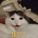 欧皇蛋