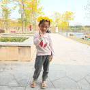 人生若只如初见