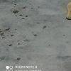年光