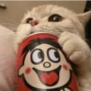 噫噫噫