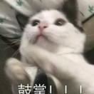⁻该用户过于帅气⁻