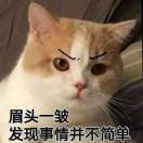 时光鸡
