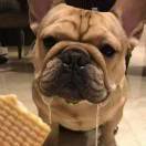 喜欢躺躺躺躺在家