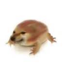 陈年人少熬夜