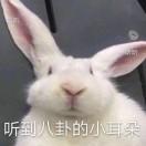 饿货