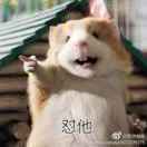 空夜孤情
