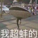 兔恩一丸